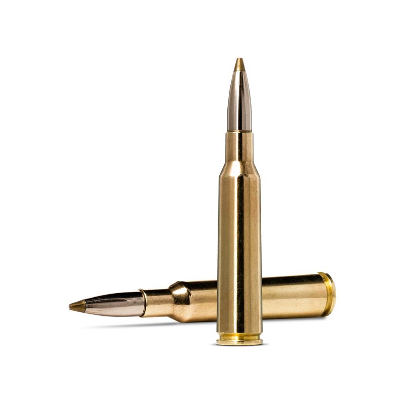 Norma Evostrike 6,5x55 6g/93gr