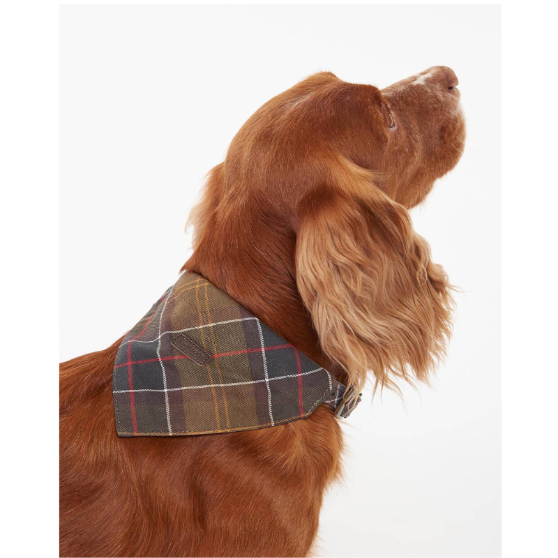 Barbour Tartan Dag Bandana