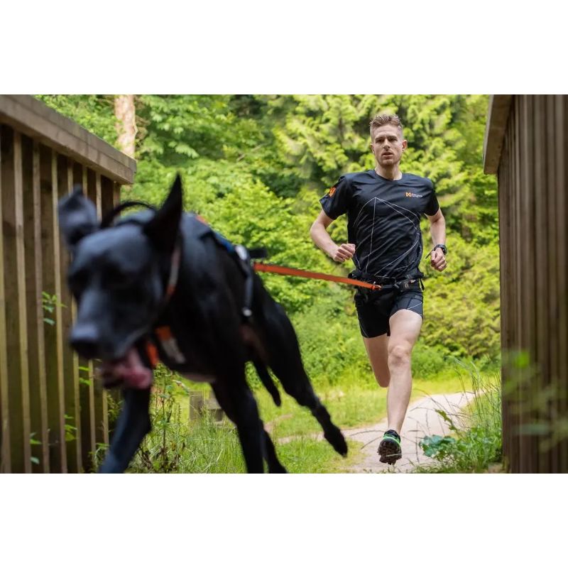 Non-Stop Dogwear Bungee LIne