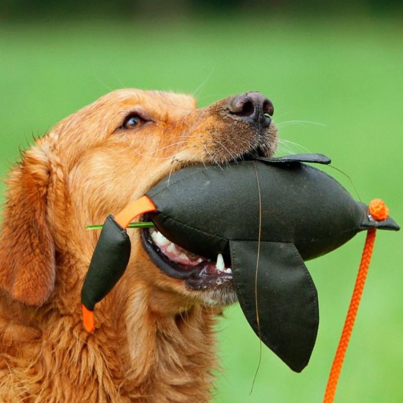 Firedog Dummy And 400 g
