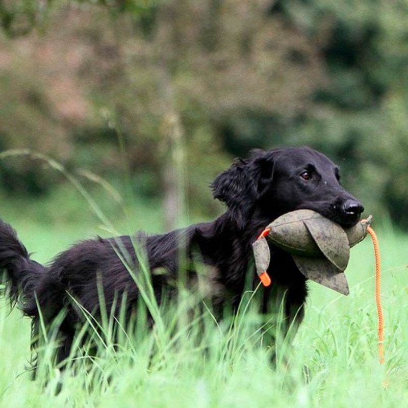 Firedog Dummy And 400 g