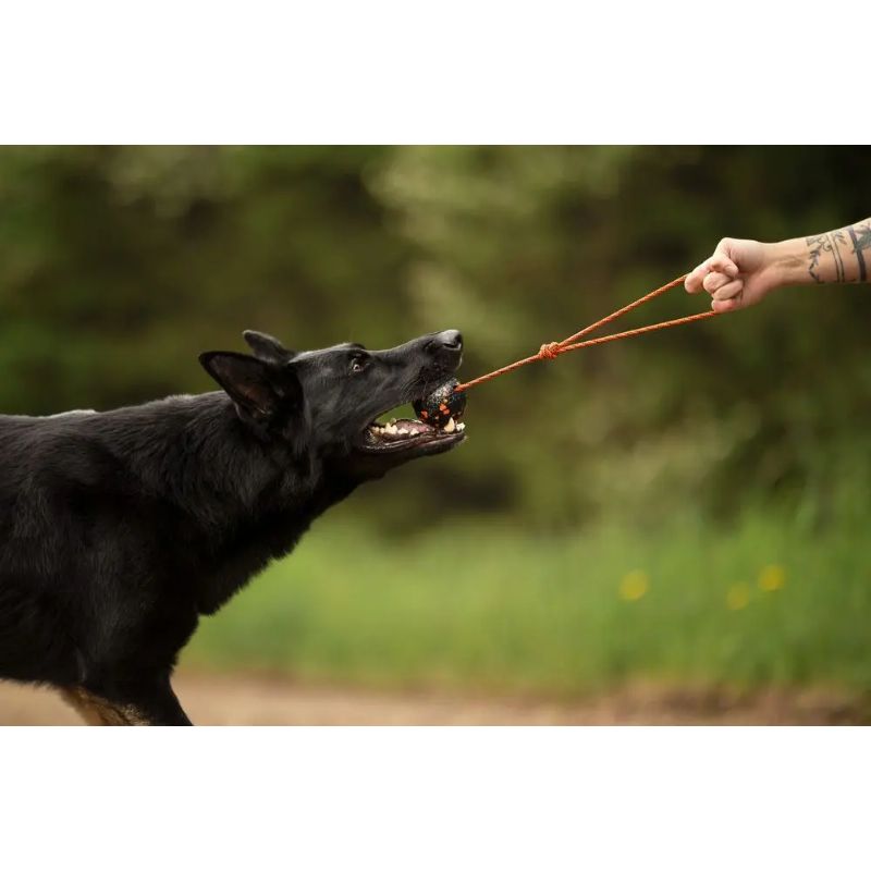 Non-Stop Dog Ball On Rope Orange/Black