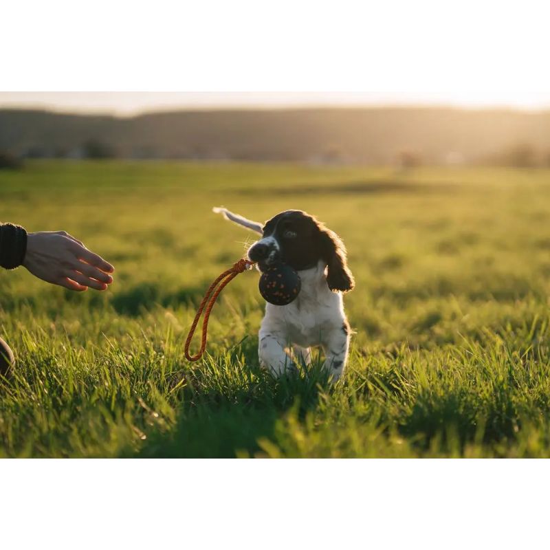 Non-Stop Dog Ball On Rope Orange/Black