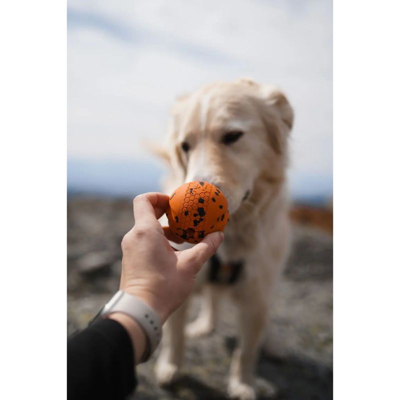 Non-Stop Dog ball Orange/Black