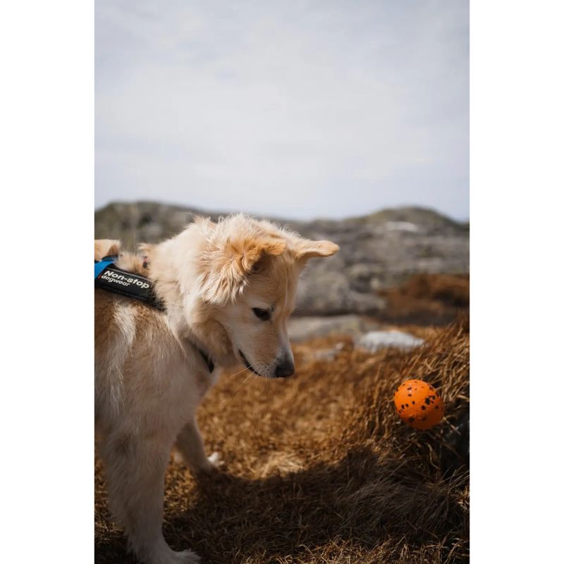 Non-Stop Dog ball Orange/Black