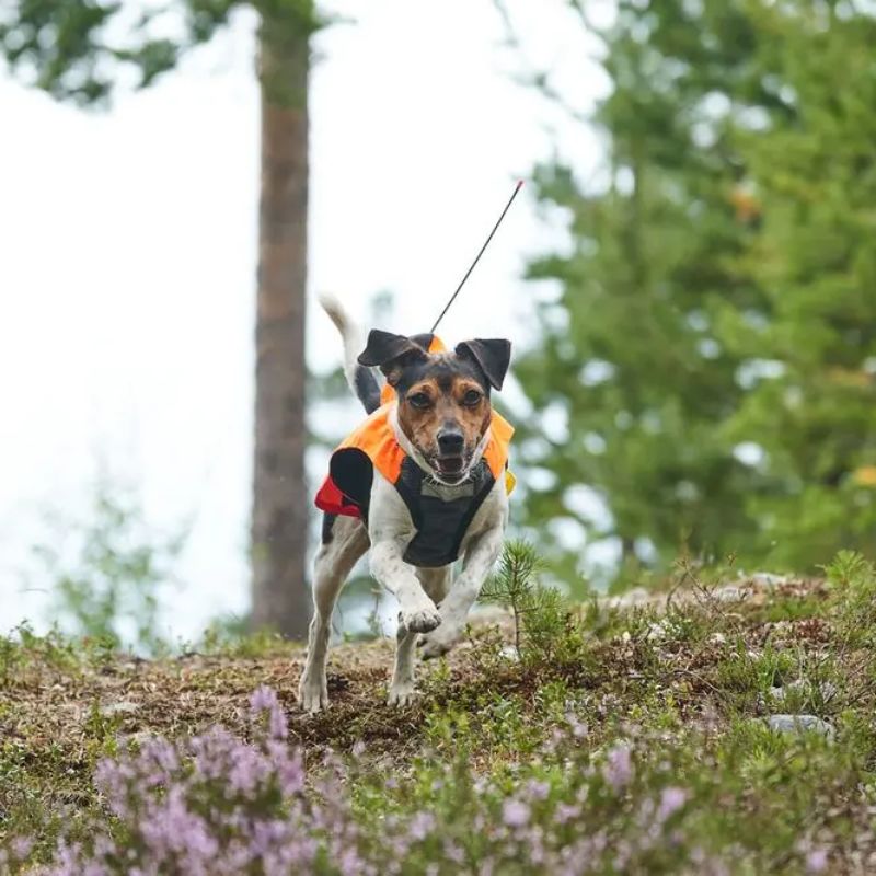 Non-Stop Dogwear Protector GPS Hundevest