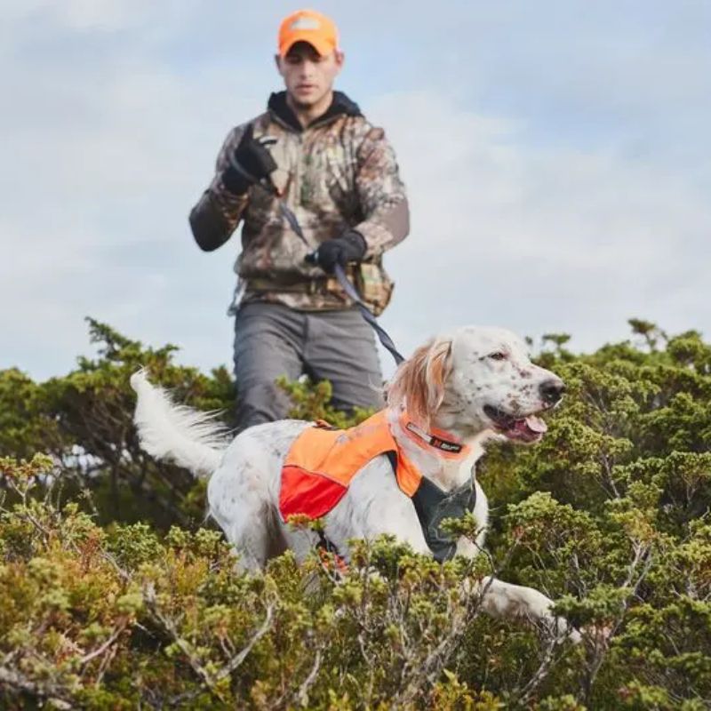 Non-Stop Dogwear Protector Hundevest