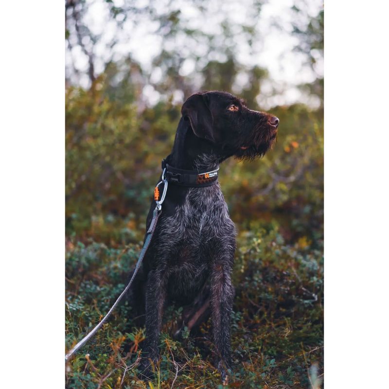 Non-Stop Dogwear Rock Justerbart Halsbånd