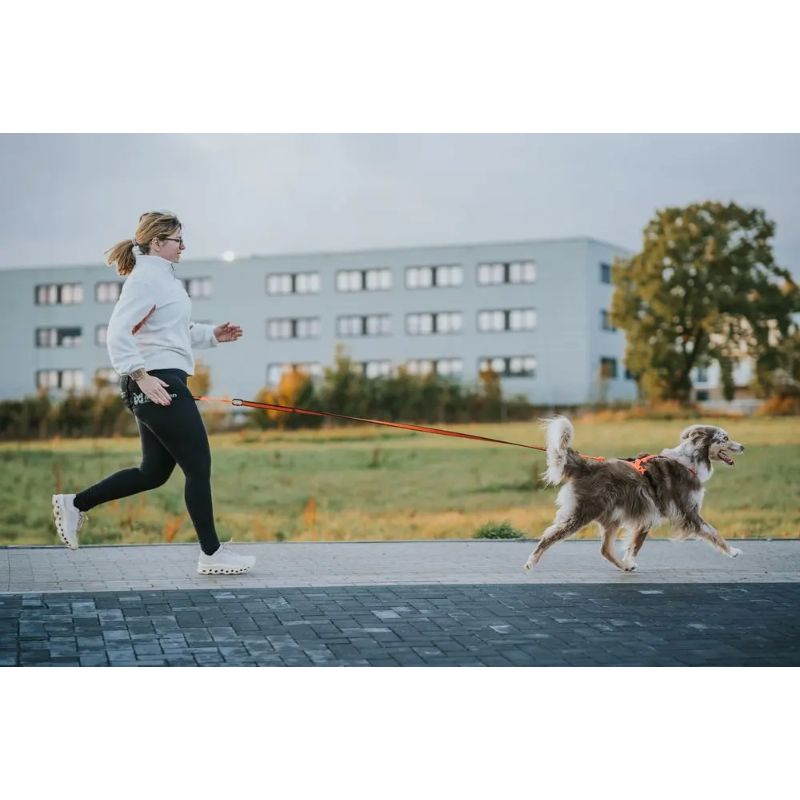 Non-Stop Dogwear Rush Sele