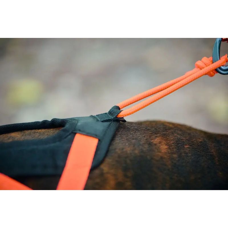 Non-Stop Dogwear Rush Sele