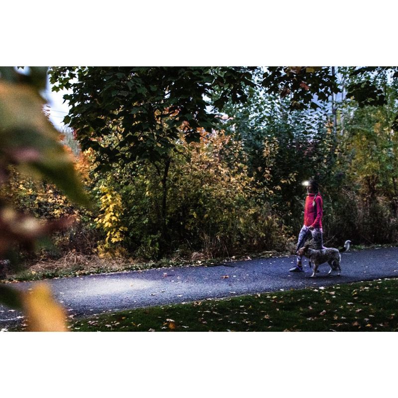 Ledlenser HF4R Core Sort