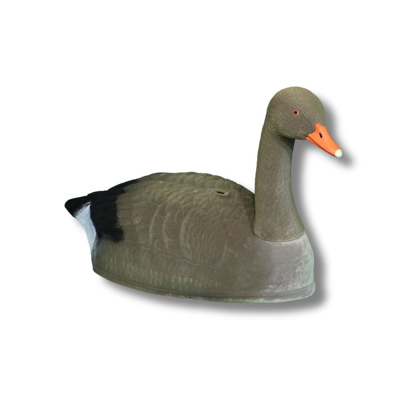 Mjoelner Grågås Hoved Op, Flock