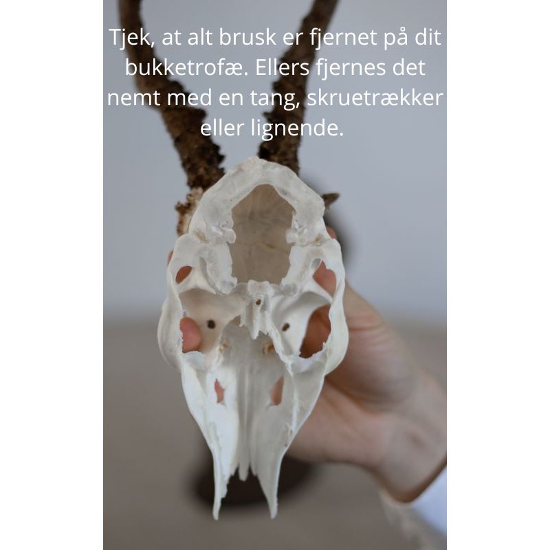 Torp Solution Opsatsplade Bordmodel til Buk