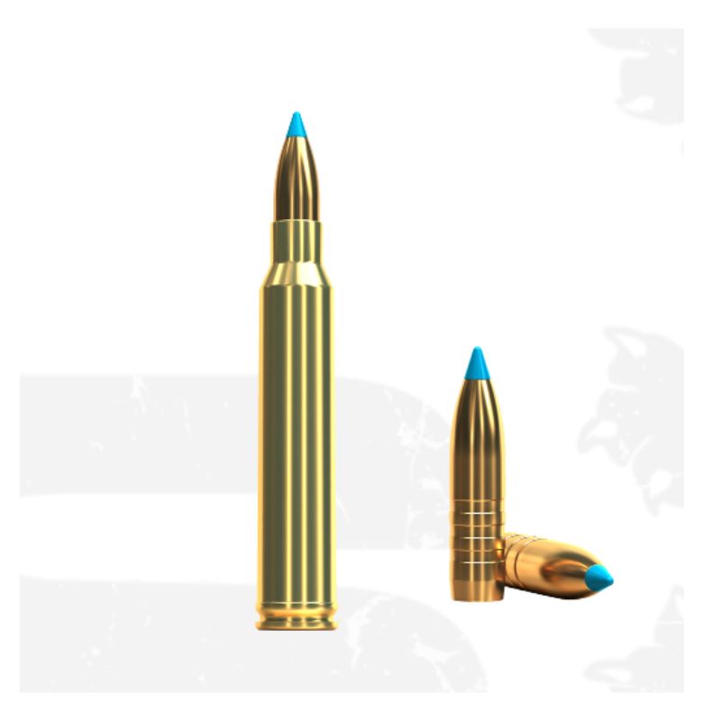 300 Win Mag S&B TXRG 180GR 11,7G