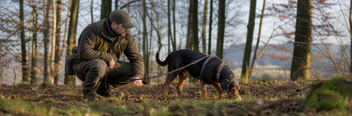 schweisshund