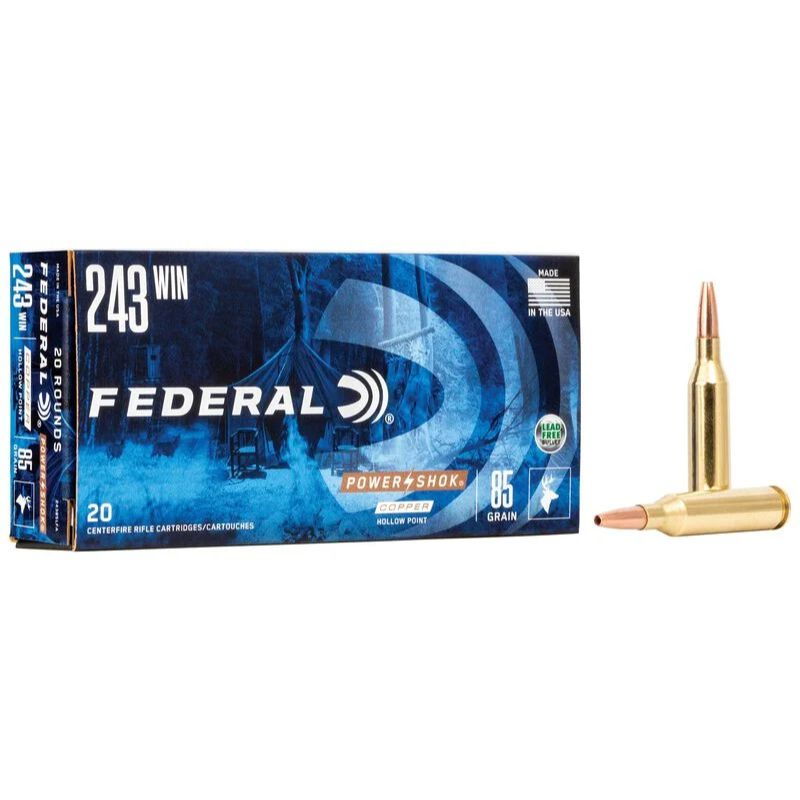 Federal Powershok 243 Win 85gr Copper