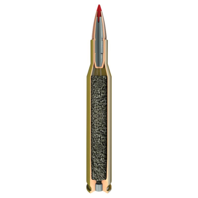 30-06 SPRG Hornady 165gr/10,7g CX SPF