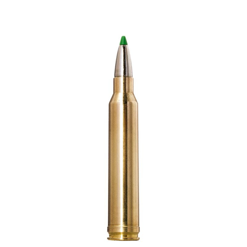 Norma Ecostrike 300 Win Mag 10,7g/165gr