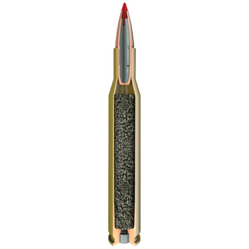 308 Win Hornady 165gr/10,7g CX SPF