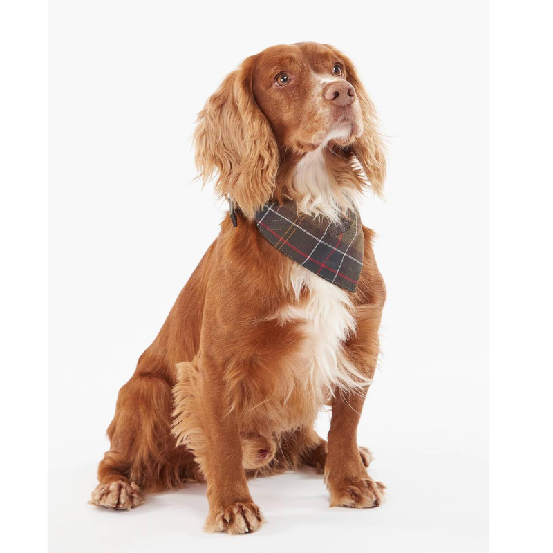 Barbour Tartan Dag Bandana