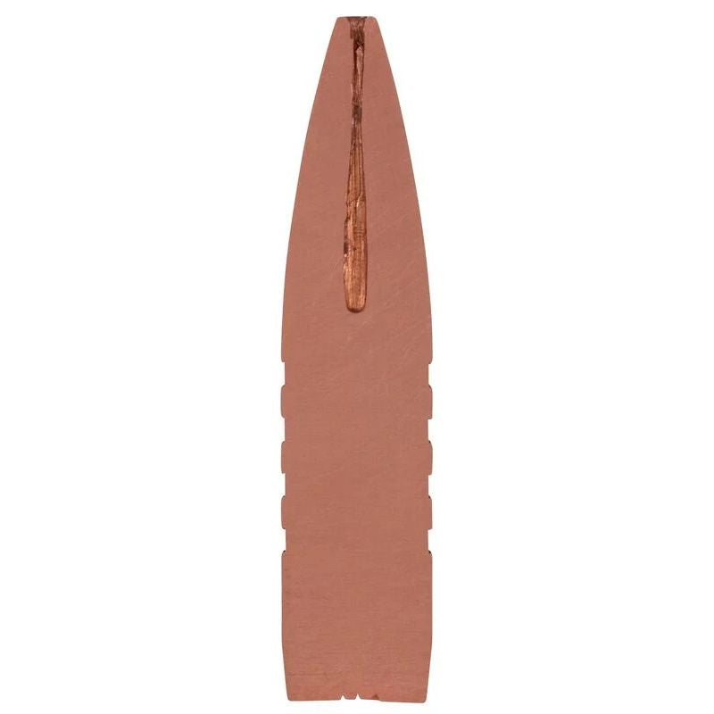 Federal Barnes TSX Blyfri Riffelpatron 300 Win Mag 165gr