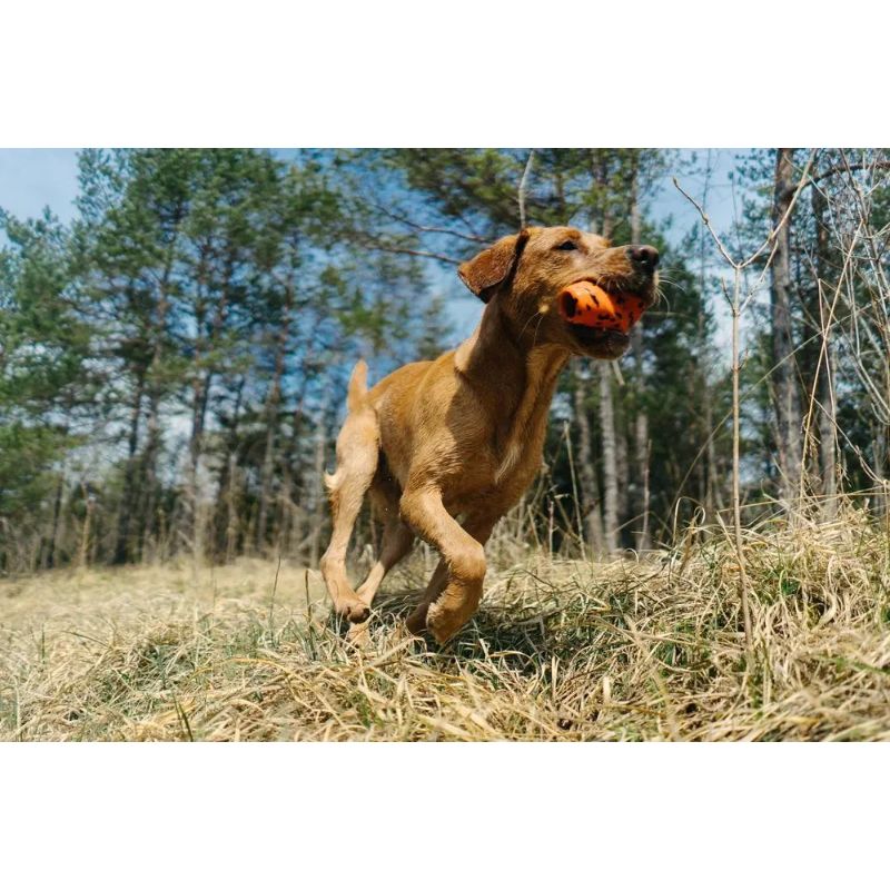 Non-Stop Dog Throw Toy Orange/Black