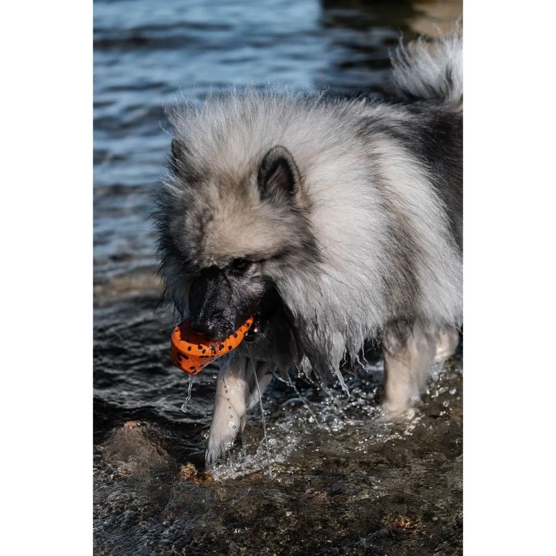 Non-Stop Dog Throw Toy Orange/Black