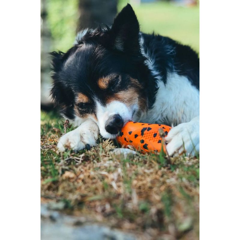 Non-Stop Dog Throw Toy Orange/Black