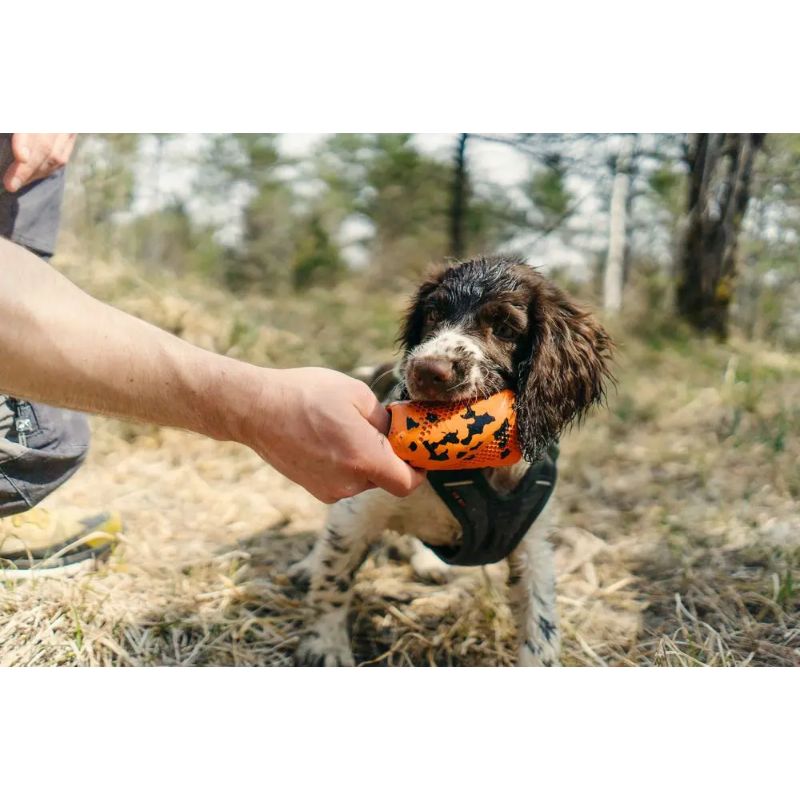 Non-Stop Dog Throw Toy Orange/Black