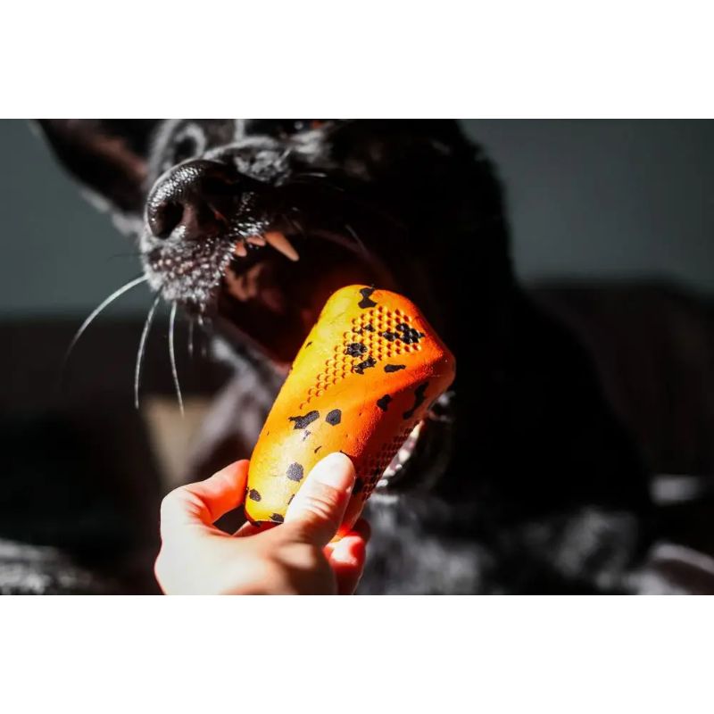 Non-Stop Dog Throw Toy Orange/Black