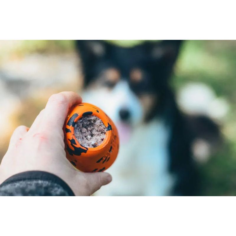 Non-Stop Dog Throw Toy Orange/Black