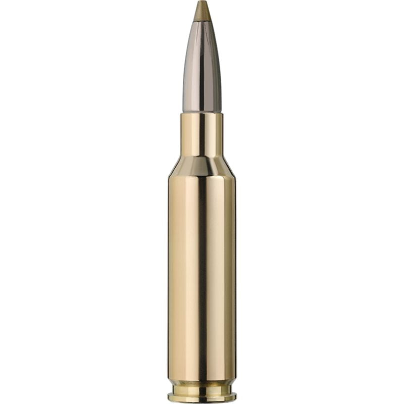 RWS Evo Green 6,5 Creedmoor 6g/93gr