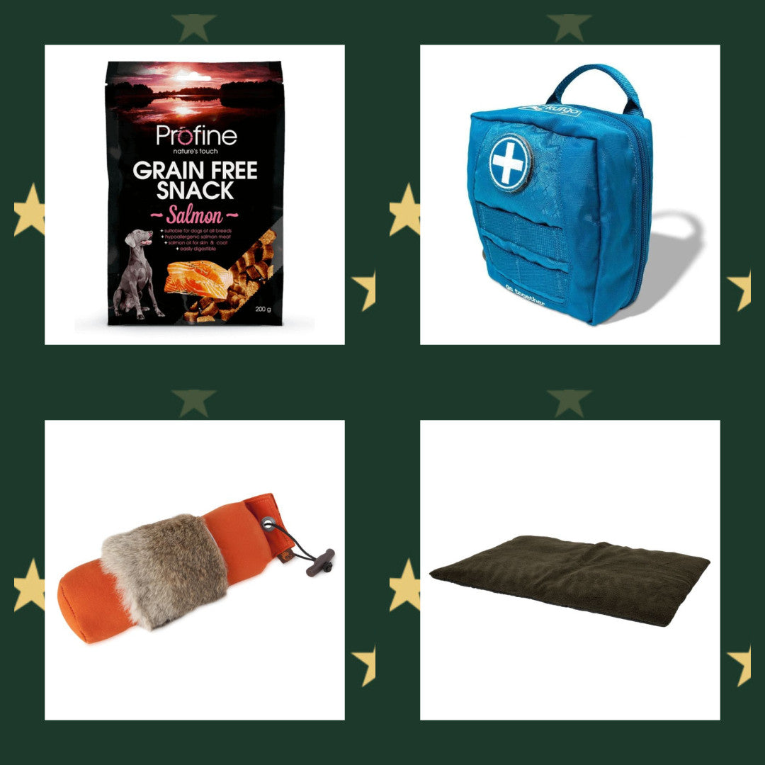 Hubertushuset adventspakke model "Dog"