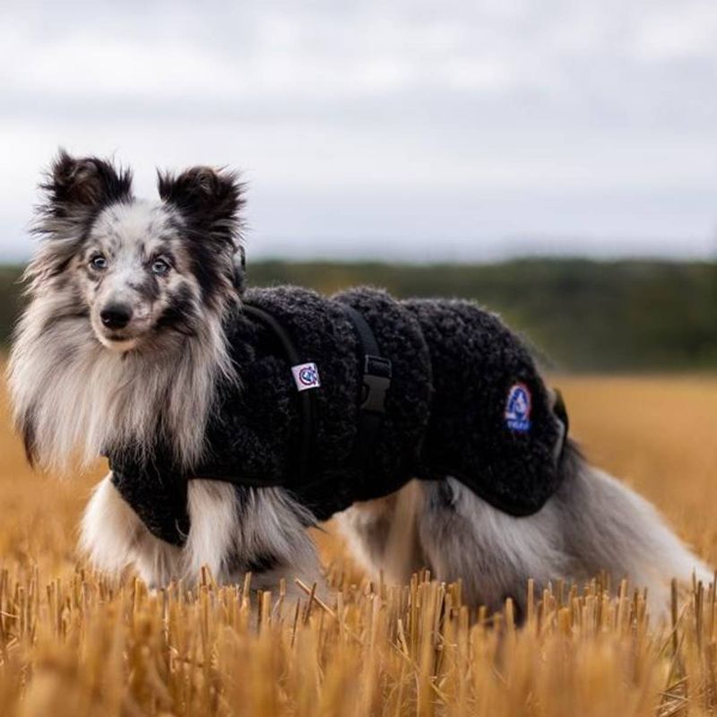 Canelana Ambassadør Ulddækken M/L 48