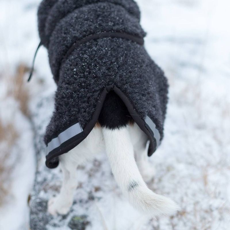 Canelana Ambassadør Ulddækken S Terrier