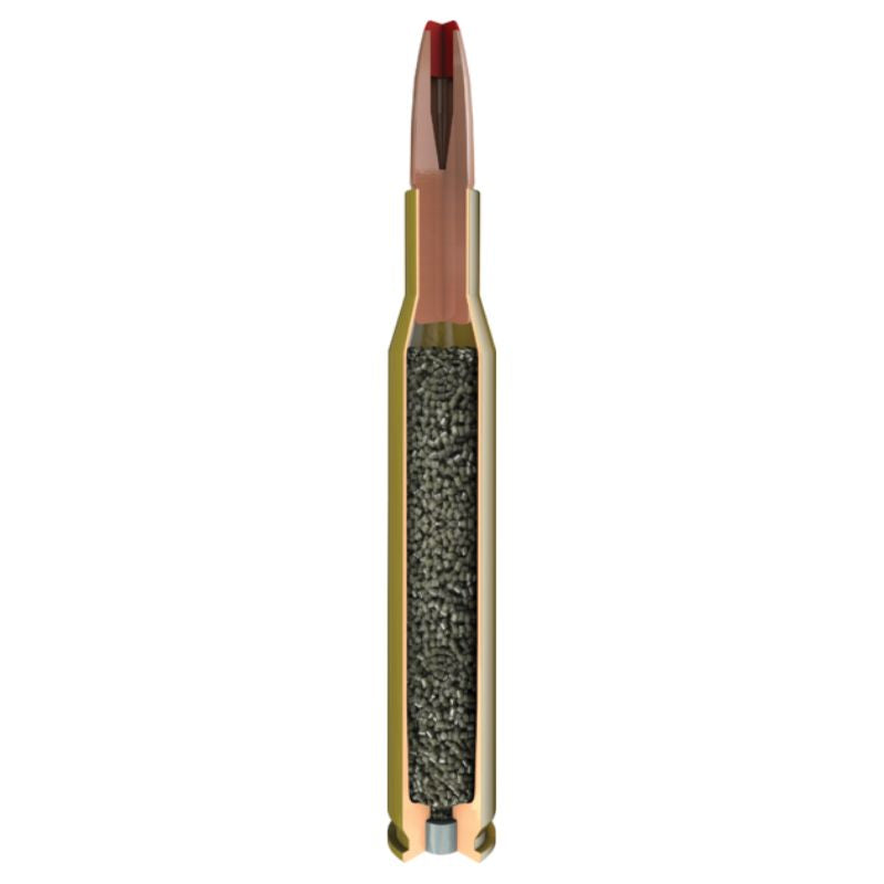 300 Win Mag Hornady 165gr/10,7g ECX