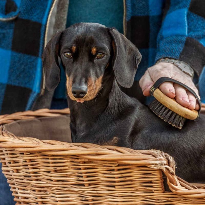 Bamboo Groom Oval Børste Med Vildsvinehår